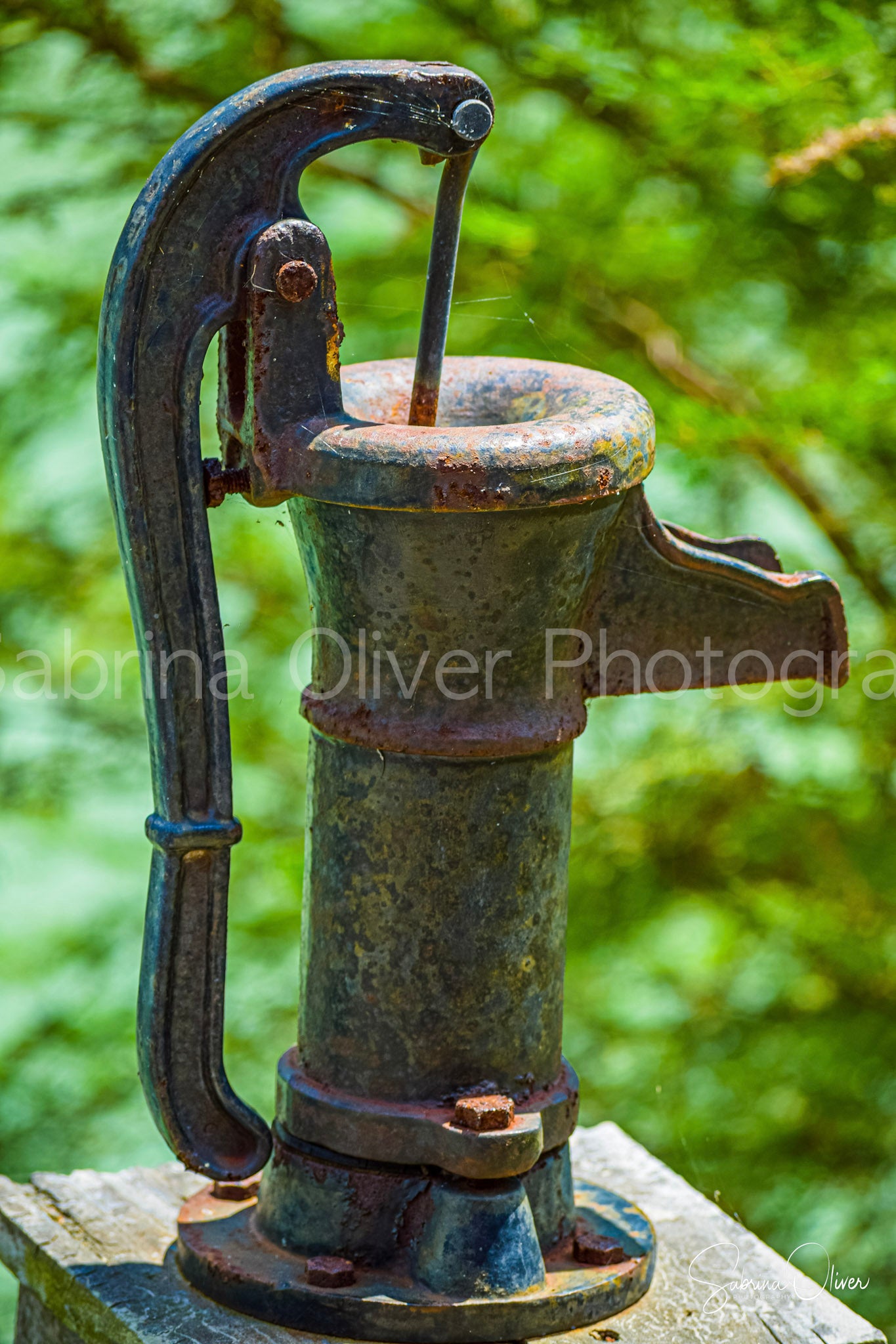 Spigot