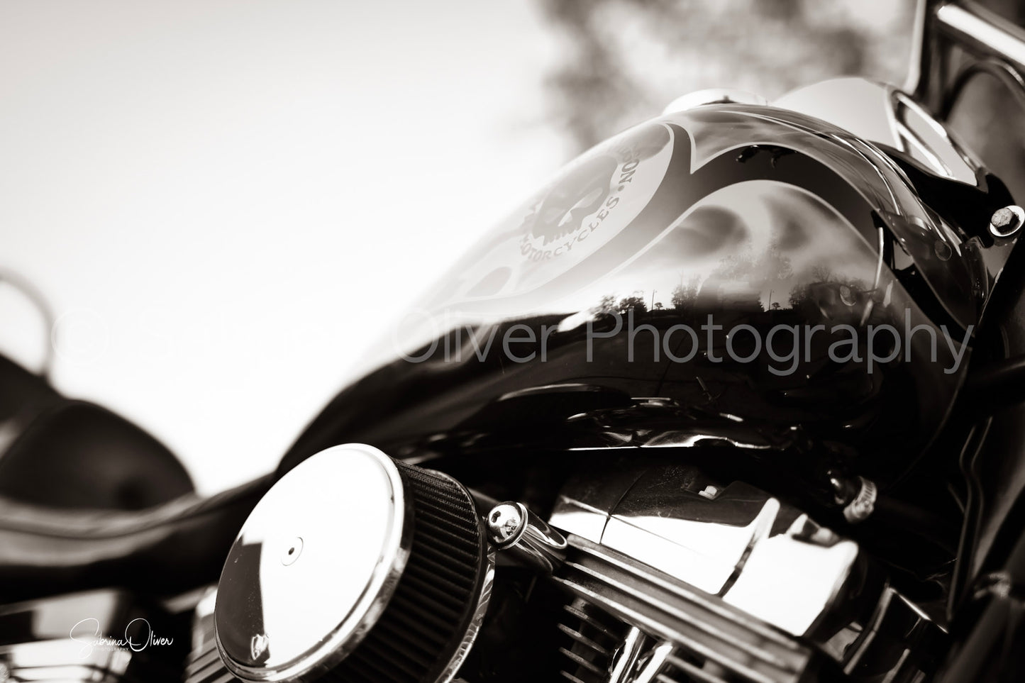 Harley Gas Tank I
