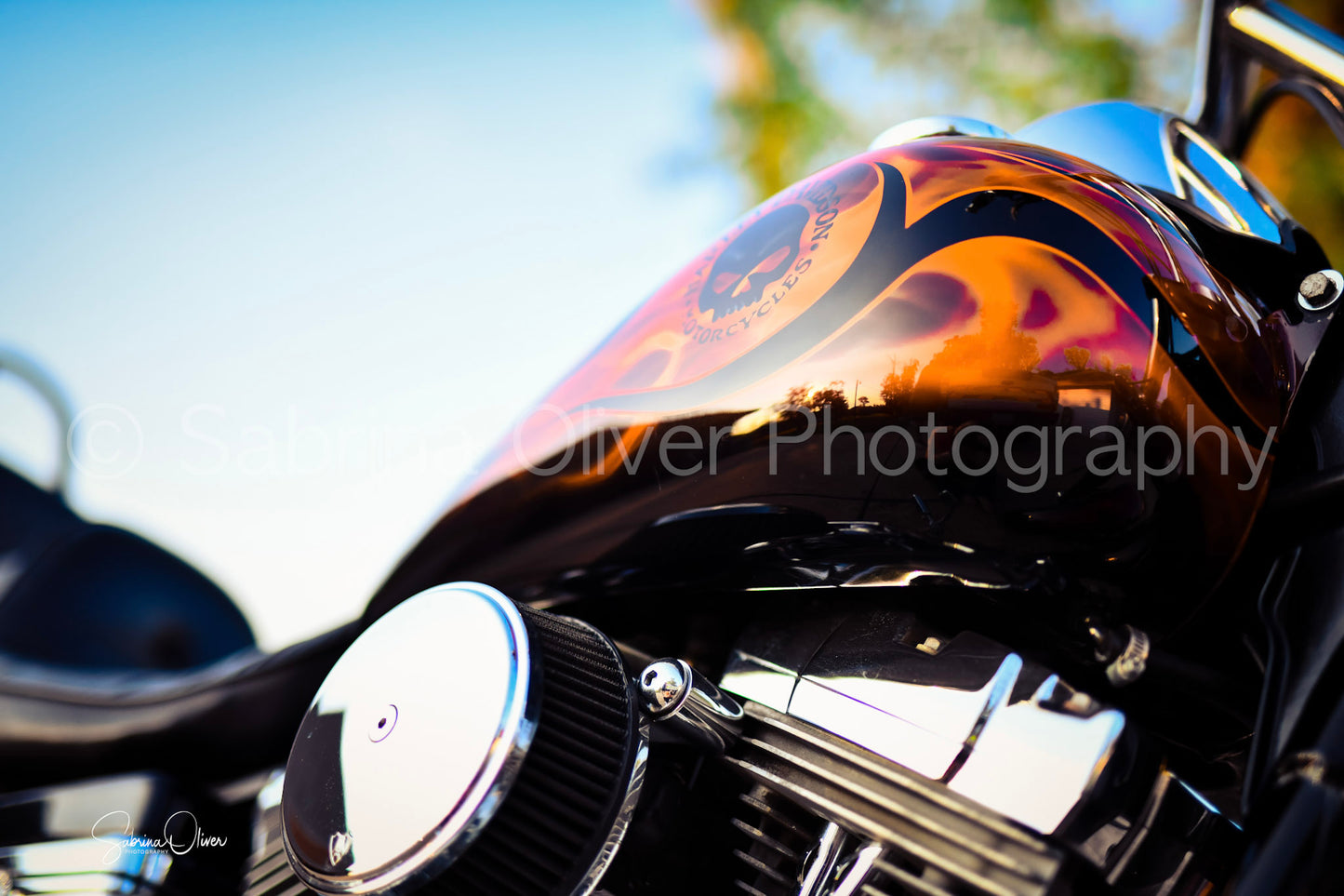Harley Gas Tank