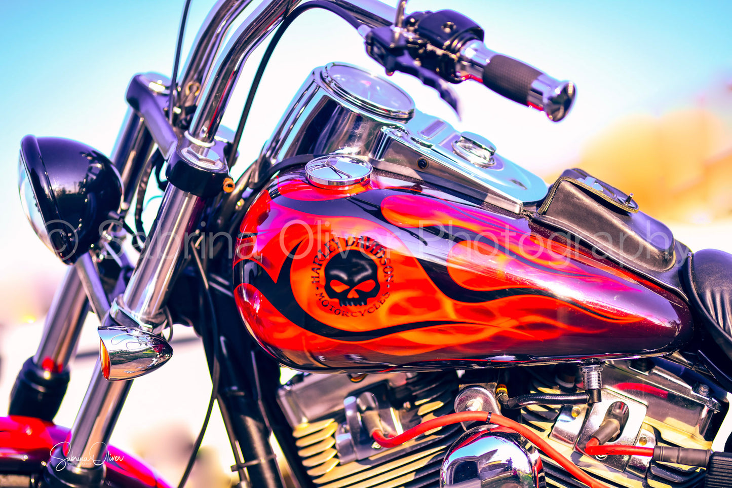 Harley Davidson IV