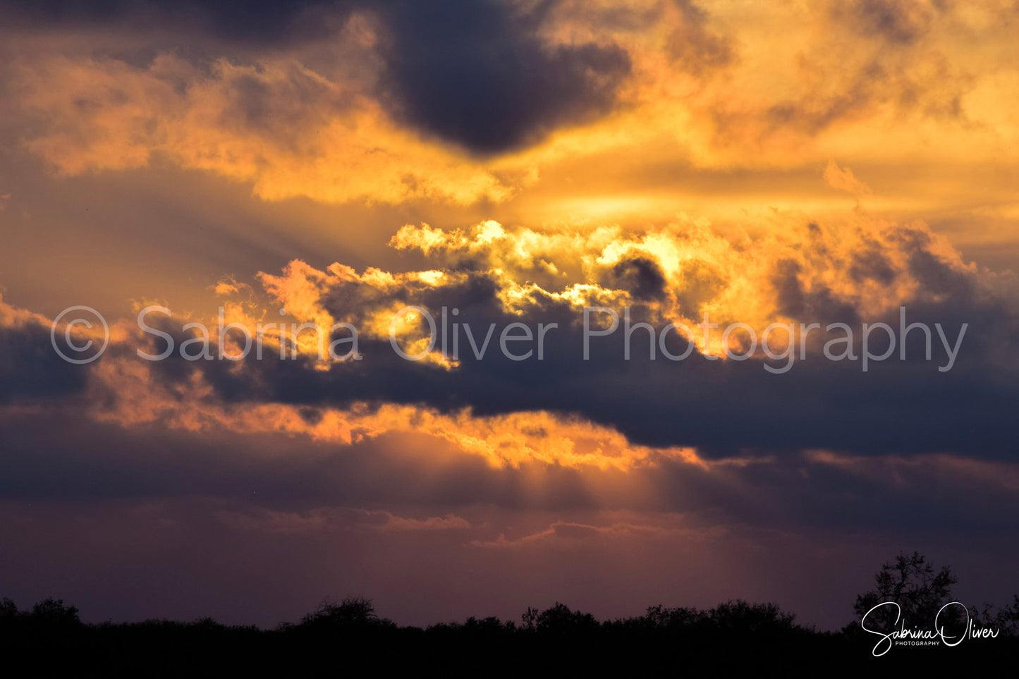South Texas Sky
