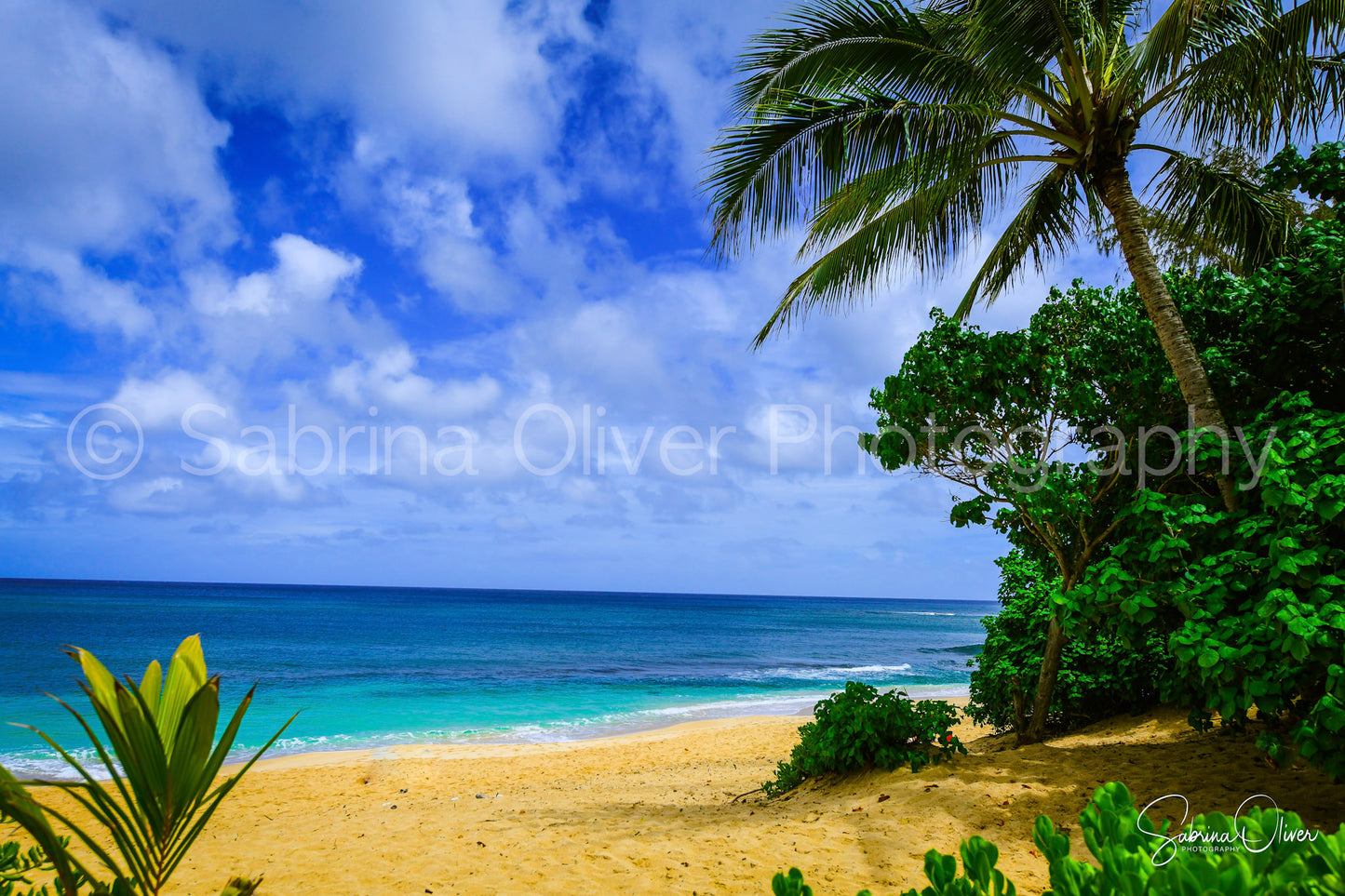 Hawaiian Beach
