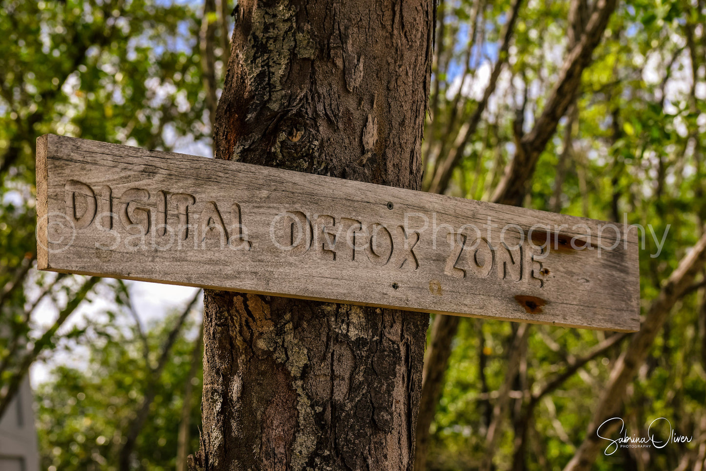 Digital Detox
