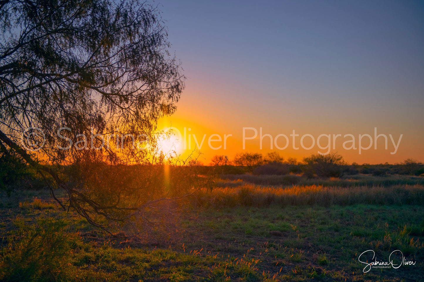 South Texas Sunset