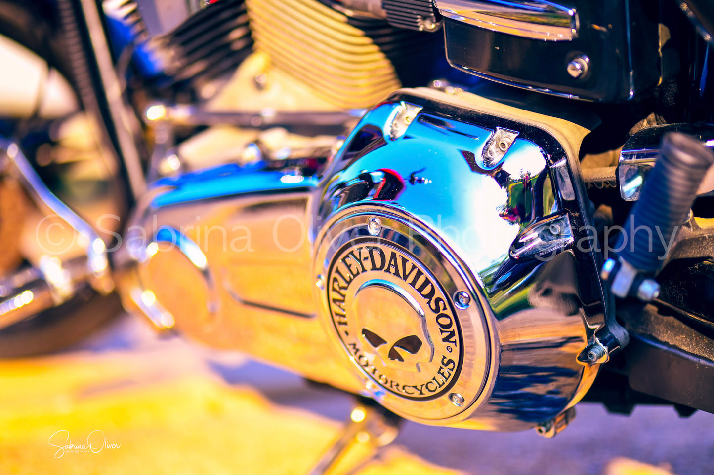 Harley Davidson I