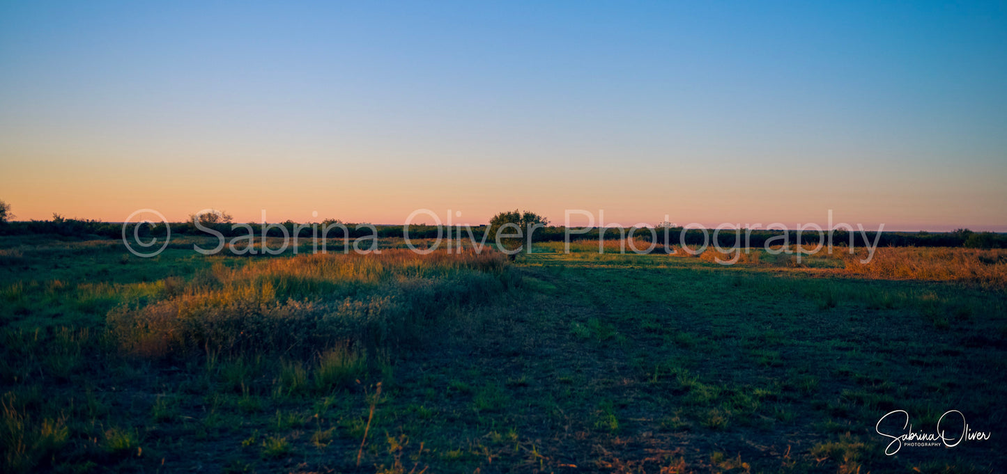 South Texas Sunset II