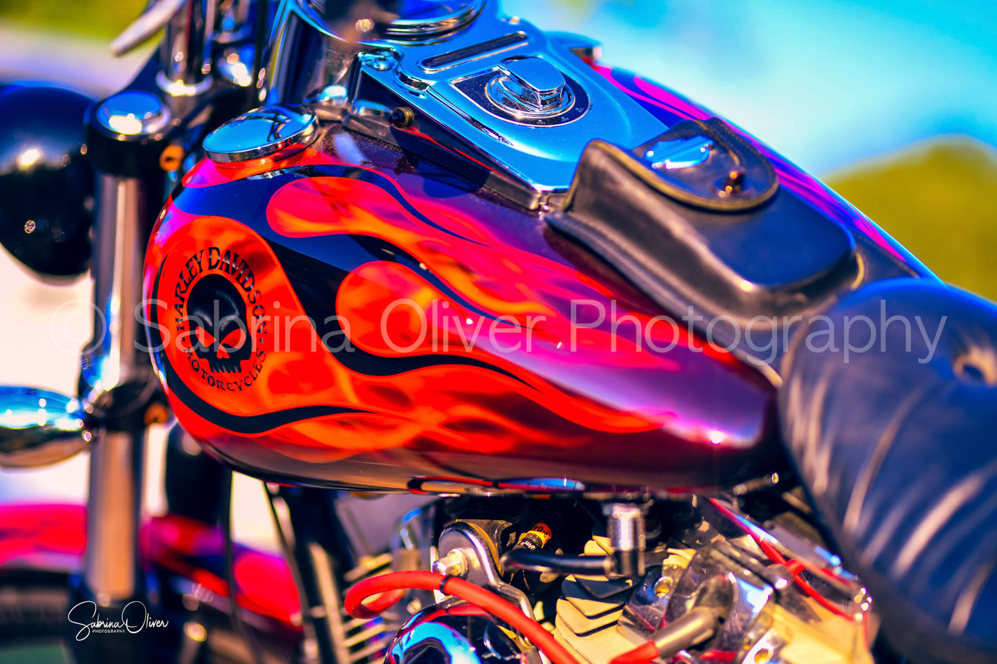 Harley Davidson III