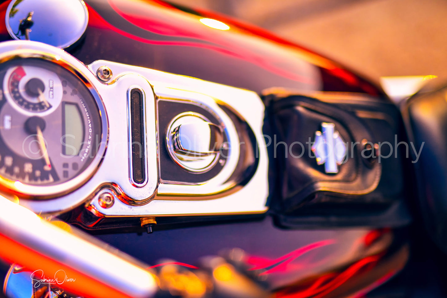 Harley Davidson Flames I