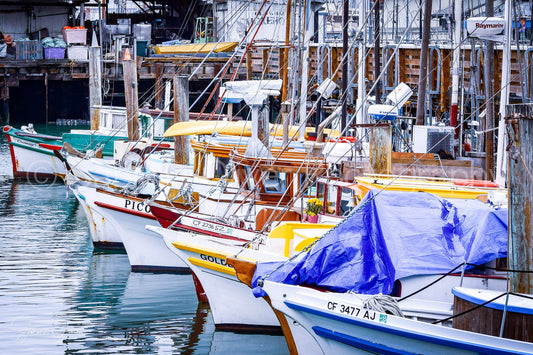 San Francisco Bay Harbor