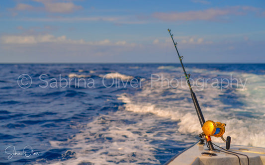 Trolling in Belize