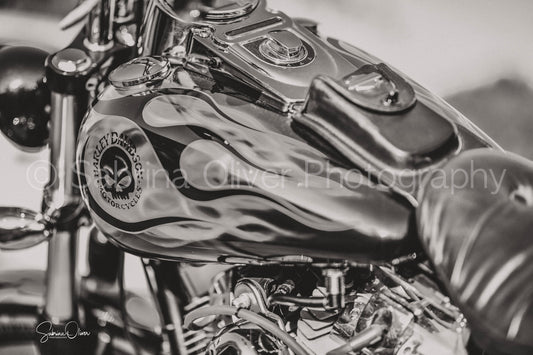 Harley Davidson II